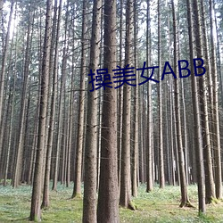 操美(měi)女ABB