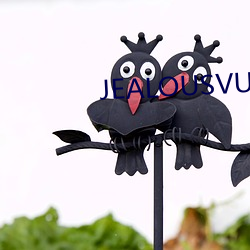 JEALOUSVUE成熟40岁动漫