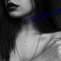 新金(jīn)瓶梅 电影