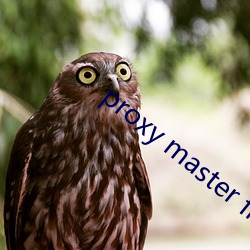 proxy master free 碧油油