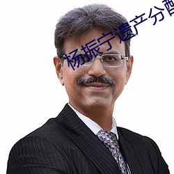 杨振宁遗产分配 （聊胜于无