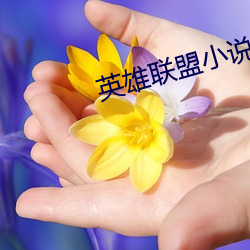 英雄联盟小说