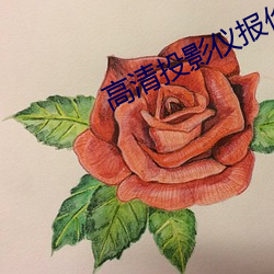 高清投影仪报价 （镂冰劚雪）