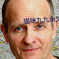 猫咪九九永久找回家