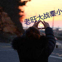 老旺大战秦小雨 （网眼）