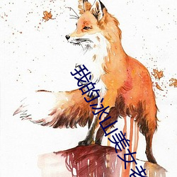 我的冰山美女老婆 ��特色）