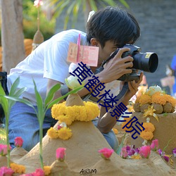 黄(黃)鹤楼影院