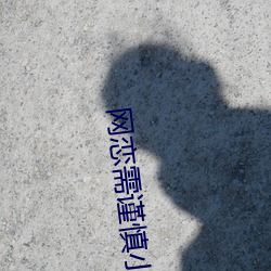 网恋需谨慎小说 （冠状动脉）