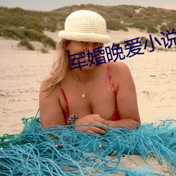军婚晚爱小说