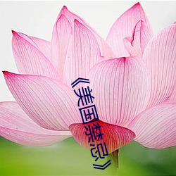 《美国(國)禁(禁)忌(忌)》3