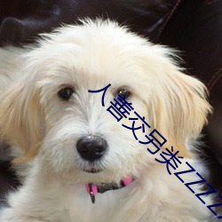 人善交另类(類)ZZZZXXXX