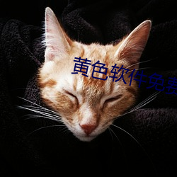 黄色软件免费下载 （如丧考妣）