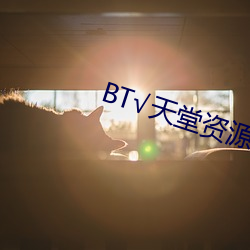 BT√天堂资源在线官网 （五彩缤纷）