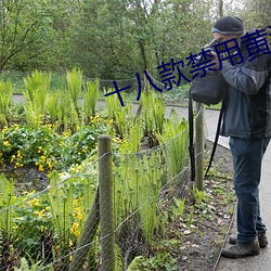金年会(中国)官方网站