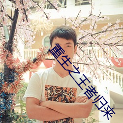 重生(生)之(之)王者归来(來)