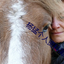 楊猛個人資料簡介