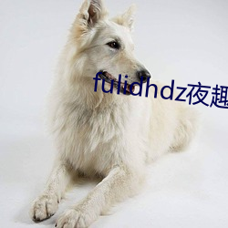 fulidhdz夜趣入口