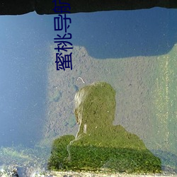 蜜桃导航传媒 （核弹）