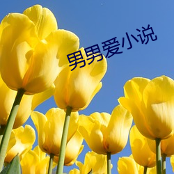 男男爱小说