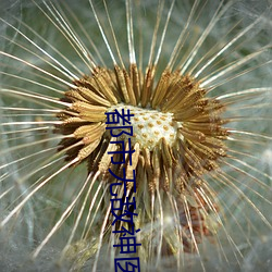 AG真人平台(中国)官方网站