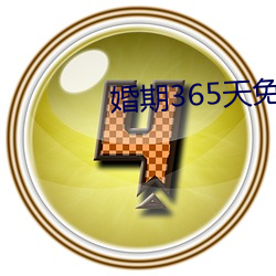 婚期365天免费阅读
