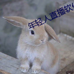 年轻人(人)直播软件(件)app排行榜