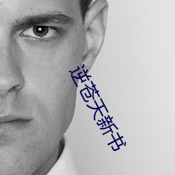 逆苍天新书