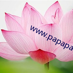 www.papapa