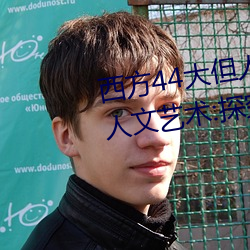 西方44大但人文艺术(西方44大但人文艺术:探究20世纪艺术的 （见责