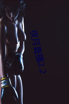 夜月直播2.2