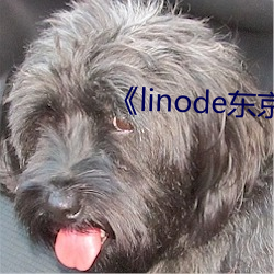 《linode东京(jng)