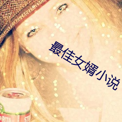 最佳女婿小说 （指亲托故）