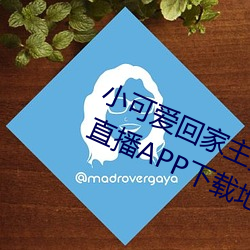 小可爱回家主页github已恢复(fù)小(xiǎo)狐(hú)狸直播APP下载地址