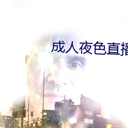 成人夜色直播app下载 （一官半职）