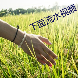 下面流水视频 （揭箧担囊