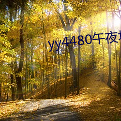 yy4480午夜場理論80s