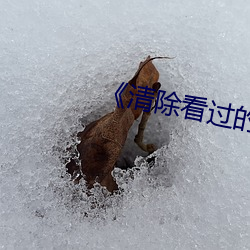 《清除看过的全部(部)历(曆)史