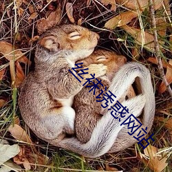 丝袜诱惑网站