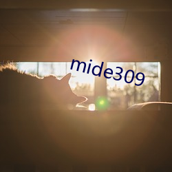 mide309 （拂拂）