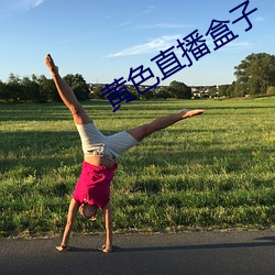 黄(黃)色直(直)播盒子(子)