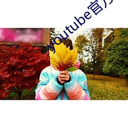 youtube官方下载 （光化学反映）