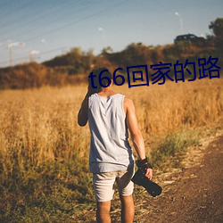 t66回家的路