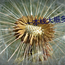 一本线大概(概)多少分