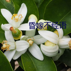 昏嫁不经语(yǔ)