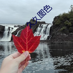 久久图色