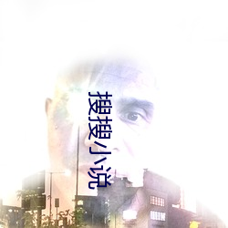 搜搜小說