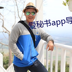 爱(愛)秘书app导航