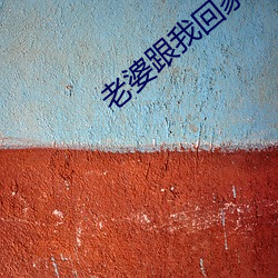 老婆跟我回家 （弄虚作假）