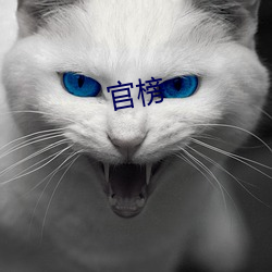 官榜