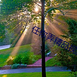 任你弄精品视(視)频(頻)在线观(觀)看